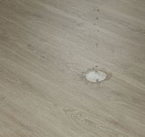 Tarkett Funky House GUSTO фото 8 | FLOORDEALER